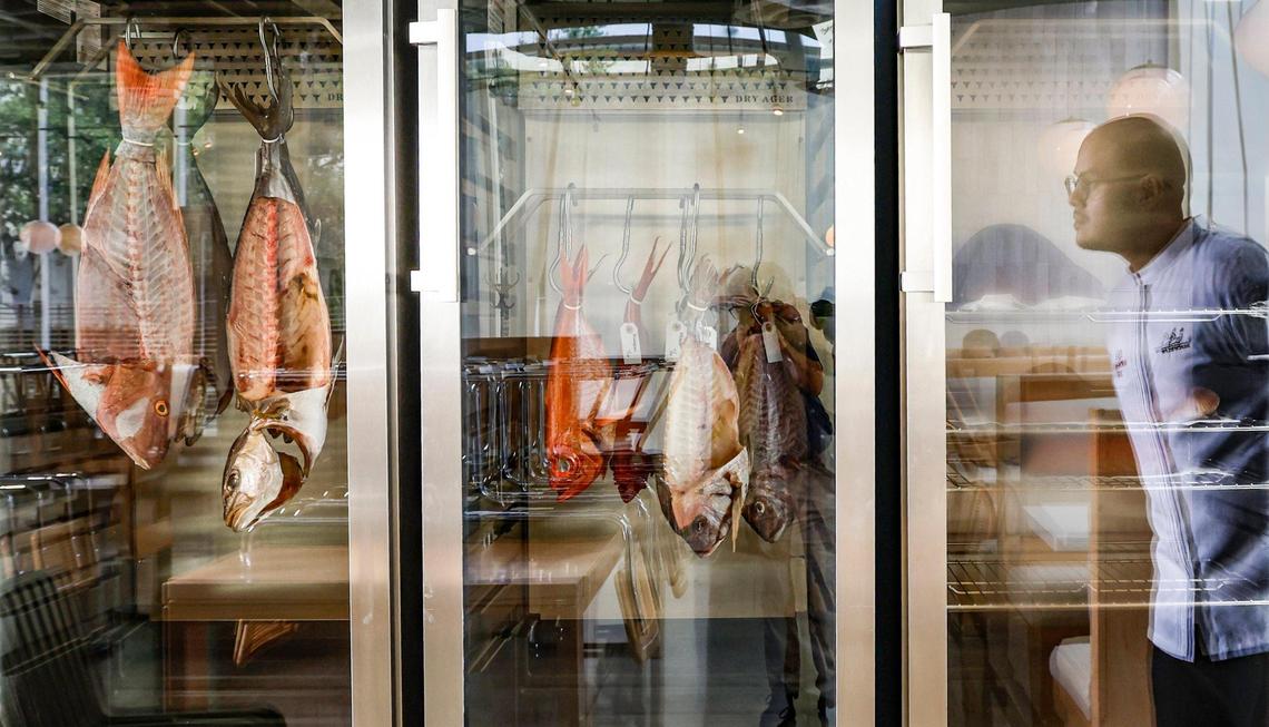 Chef Nando Chang peers into a dry aged fish fridge at Itamae Ao in Miami.