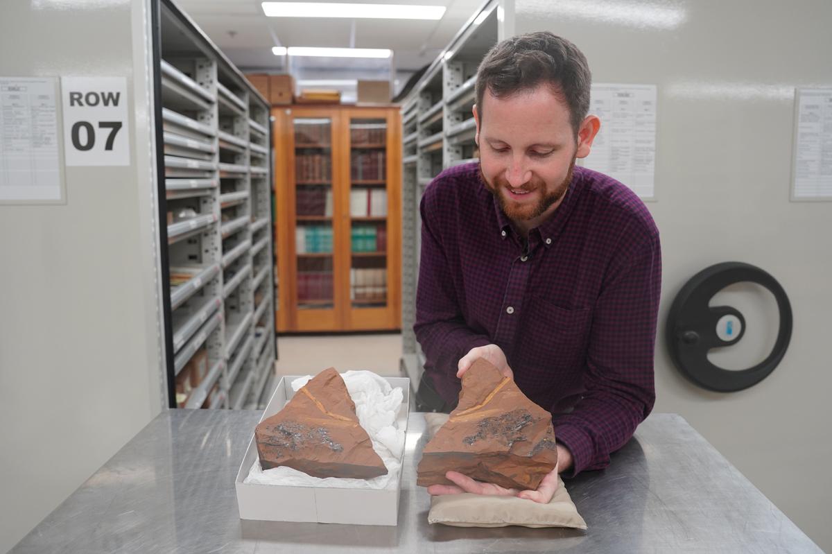 Researcher Matthew McCurry called the discovery “unprecedented.”