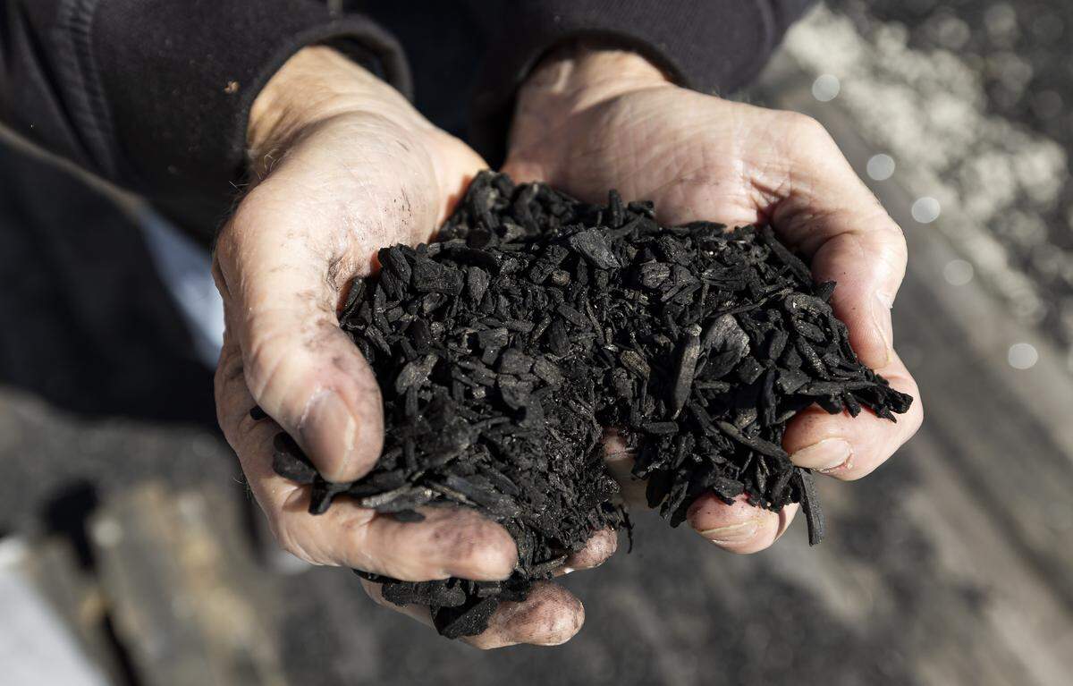 Clean Earth Innovations CEO Harold Gubnitsky holds biochar during the opening of his company's pilot biochar program at the South Dade Landfill on Friday, Feb. 6, 2025, in Homestead, Fla.