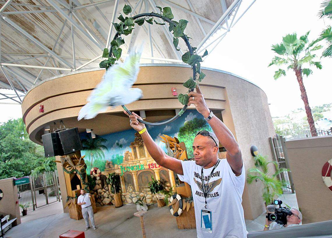 Jermal Trammel takes part in the show at Jungle Island on Wednesday January 7, 2015. Over fifty members from the Wounded Warrior Project visited the park prior to the kickoff of the annual Soldier Ride, a five-day rehabilitative cycling event stretching across South Florida to Key West..