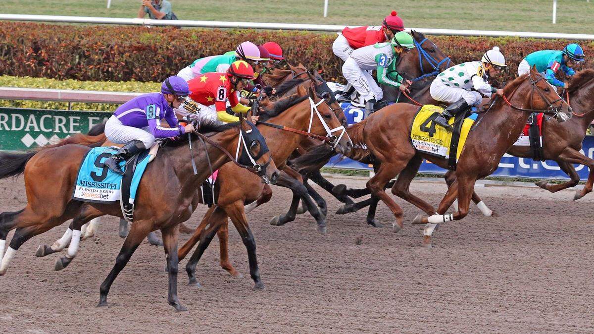 Horses sprint out of the starting gate at the start of the Florida Derby at Gulfstream Park, March 31, 2018.