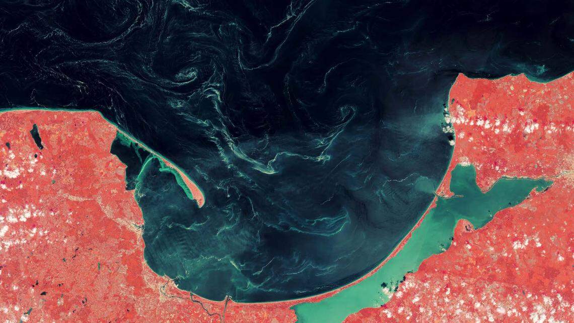 Satellite images off the coast of Poland showed unusual sea swirls that researchers finally identified, study said.