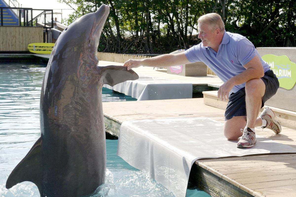 Tommy Norden, who played Bud in the 1964-1967 “Flipper” TV series, says 'Hi' to an old friend, Flipper at the Miami Seaquarium, the original film location of the show. The Seaquarium hosted the 50th anniversary of the television series with a year-long celebration through 2014. Norden is seen at the Seaquarium in this file photo from Dec. 12, 2013.