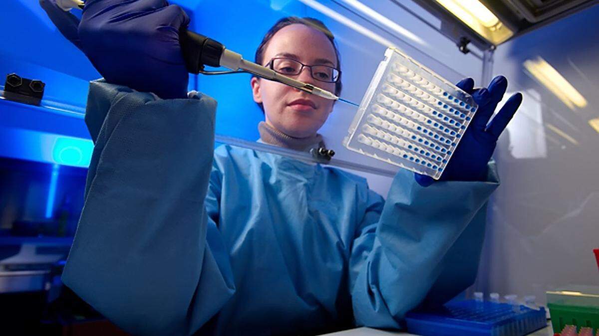 Tatiana Travis runs a test to detect drug-resistant pathogens at the Centers for Disease Control and Prevention.