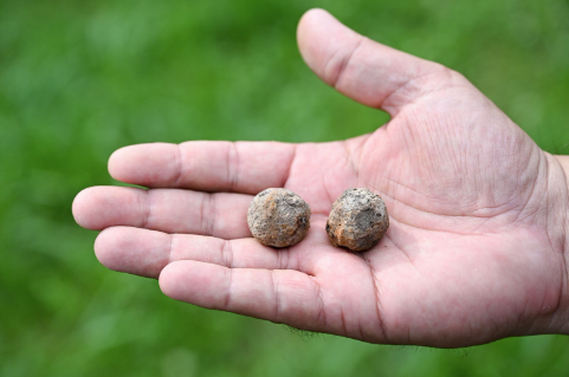 Grapeshot, rifle bullets and pieces of cannons were also found at the battlefield, officials said.