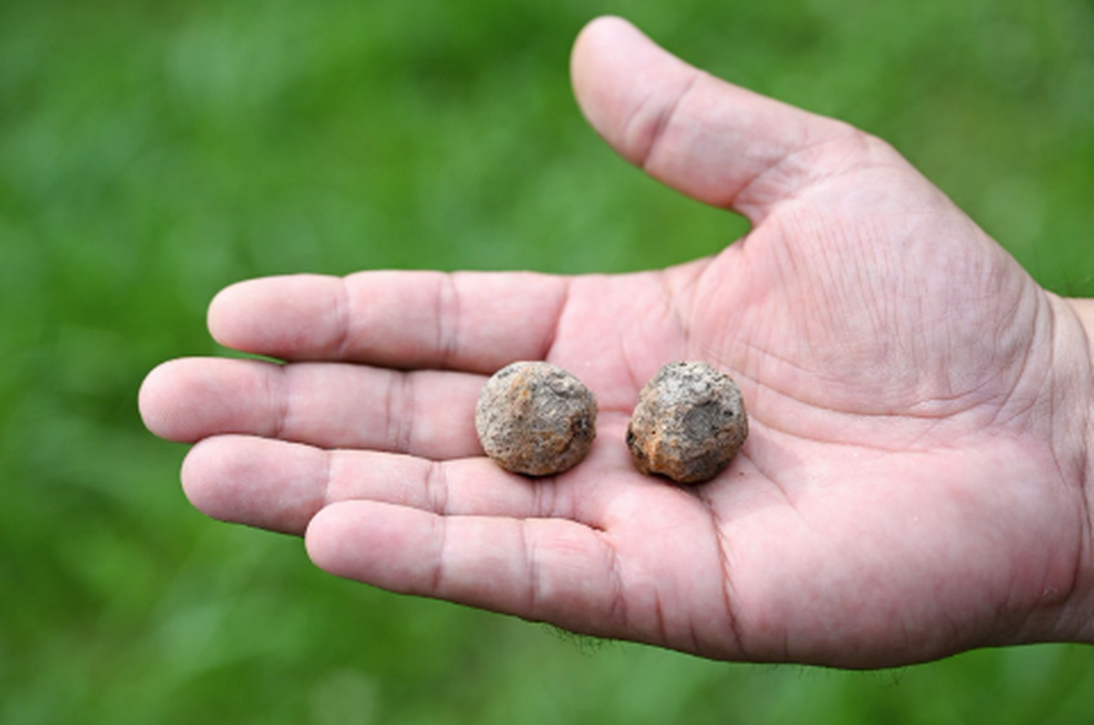 Grapeshot, rifle bullets and pieces of cannons were also found at the battlefield, officials said.