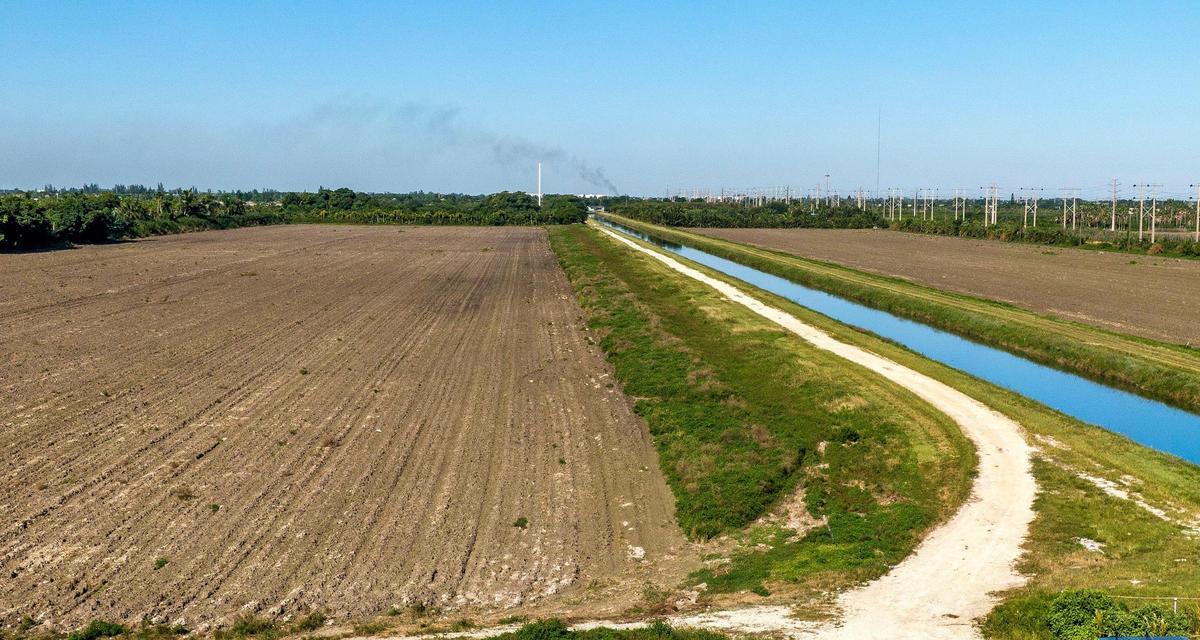 View of a farm fields located at 26100 SW 112th Ave, Homestead, that is included in a plan to expand the Urban Development Boundary converting farmland into a 9 million-square-foot industrial park near Homestead. on Wednesday, September 29, 2021.