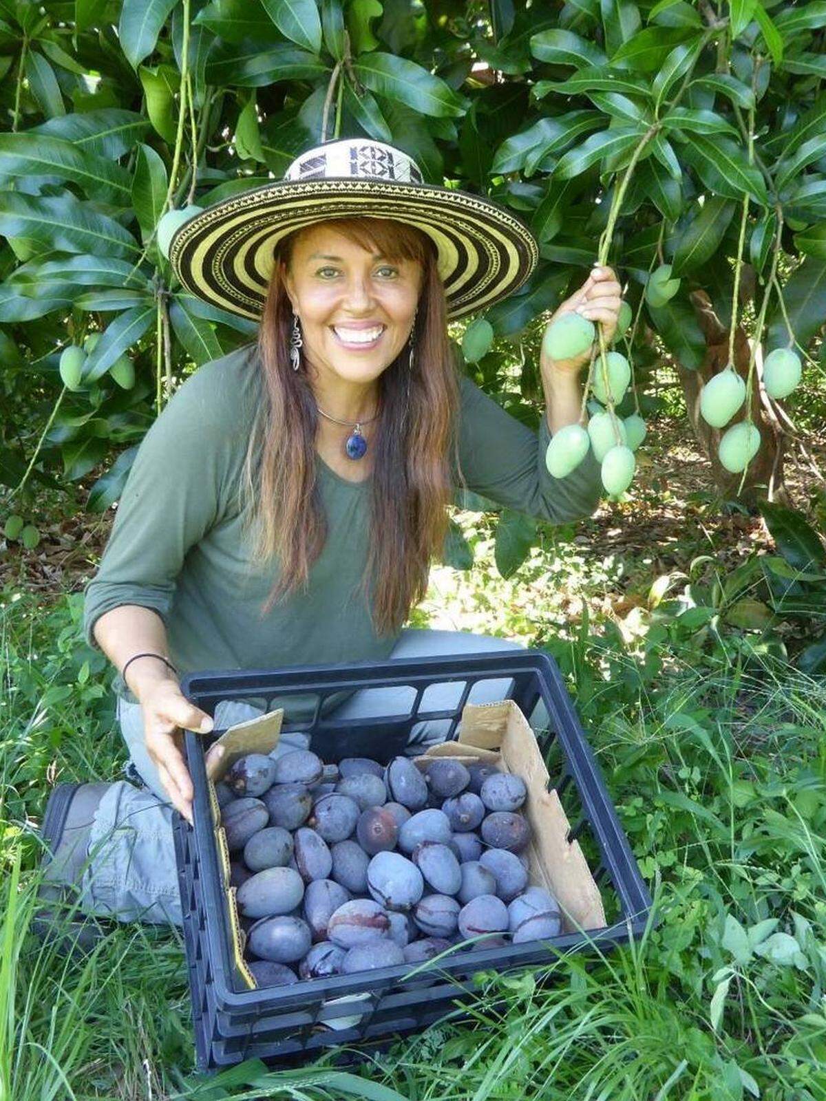 Fairchild’s curator of tropical fruit, Noris Ledesma, with a fresh crop of blue mangoes.