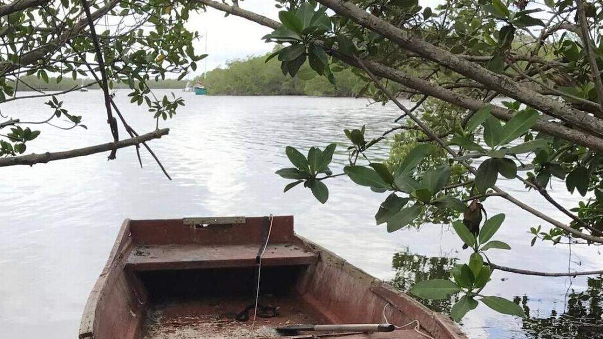 A rowboat sits in the mangroves behind the Murray E. Nelson Government and Cultural Arts Center at mile marker 102 in Key Largo. The boat is used by people living on larger vessels offshore. Police in November 2017 raided a liveaboard vessel while investigating the Oct. 21 , 2017, murder of a Key Largo woman.