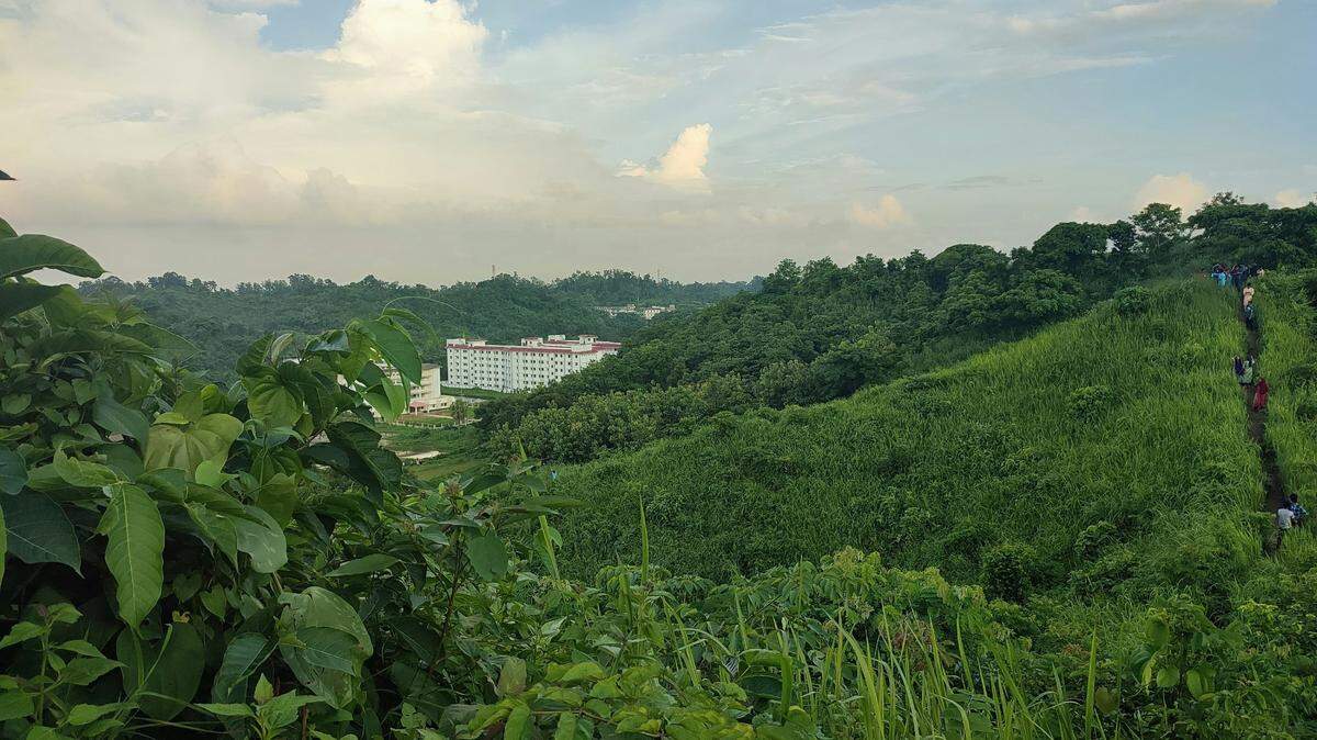 In the hills surrounding the University of Chittagong in Bangladesh, a white sheet helped to reveal a new species.