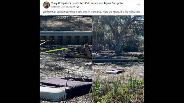 Tracy Kirkpatrick posted photos of the alligator on Facebook Oct. 12.