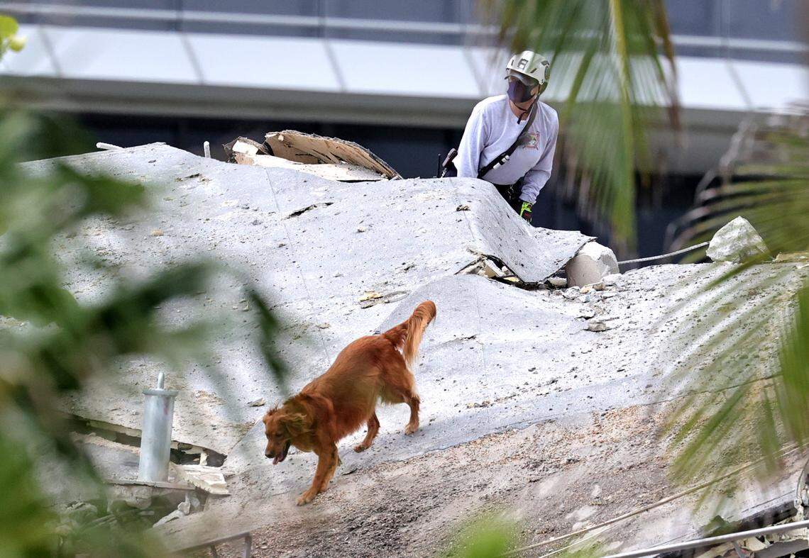 Fire rescue personnel conduct search and rescue with dogs in the rubble of the collapsed Champlain Towers South Condo in Surfside on Thursday, June 24, 2021.