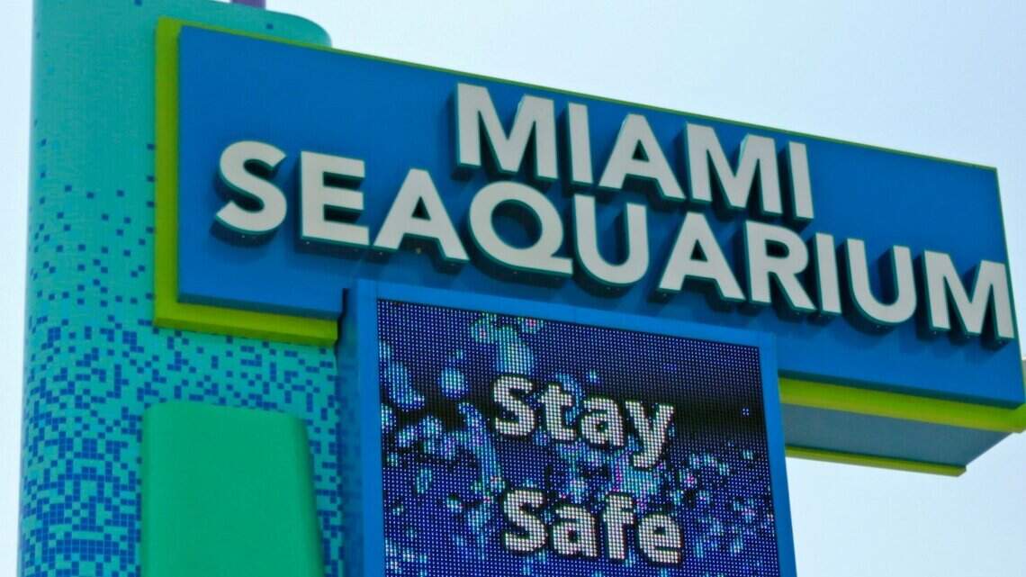 Miami Seaquarium has reopened after a three-month closure due to COVID-19