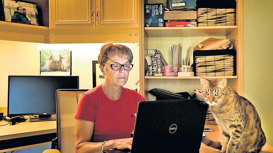 Carol Harlow, here working at home alongside her cat Jumbles,  left her job where she had insurance to work as a financial consultant from home.