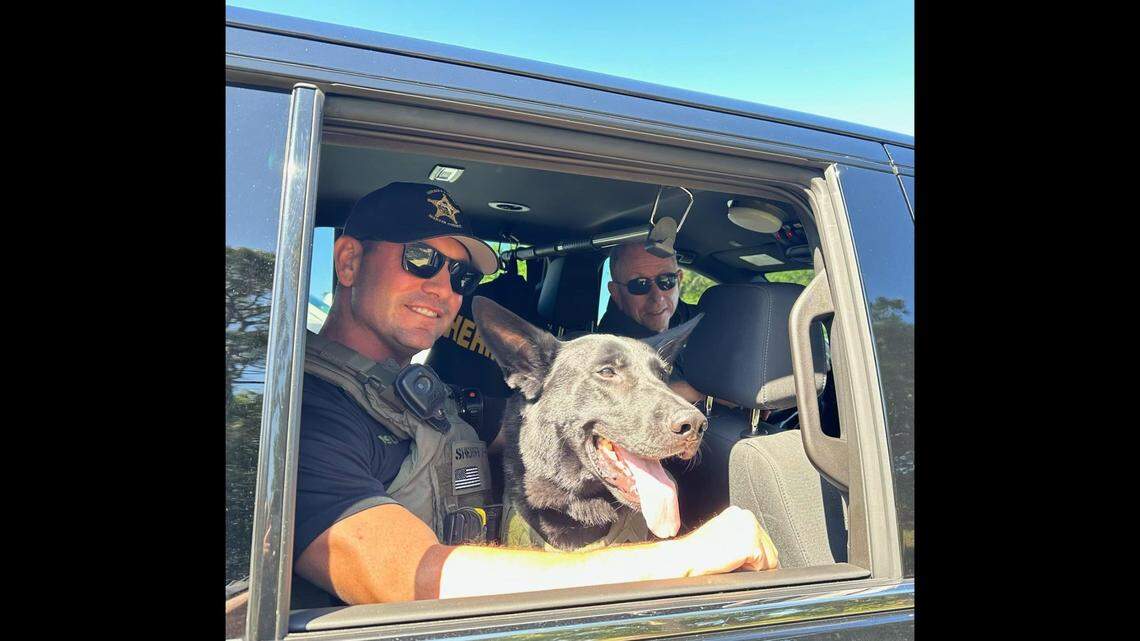 It was by coincidence that a real dog, sheriff’s office K-9 Maverick, happened to be on the call, and he saw through the act, the Martin County Sheriff’s Office says.