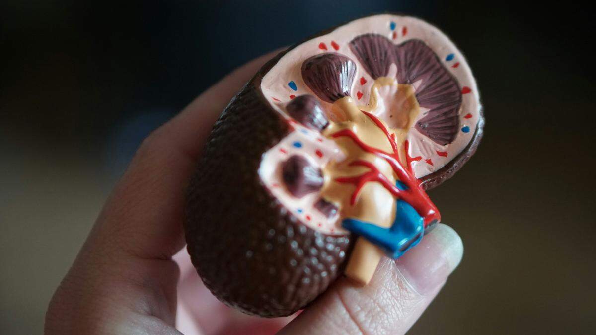 A 61-year-old became critically ill weeks after a successful kidney transplant and revealed the kidney was infected with parasitic worms.