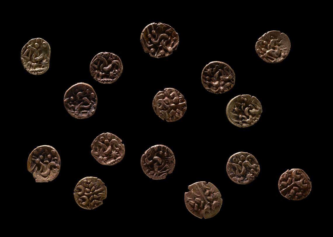 All 15 of the Iron Age gold coins found in Anglesey.