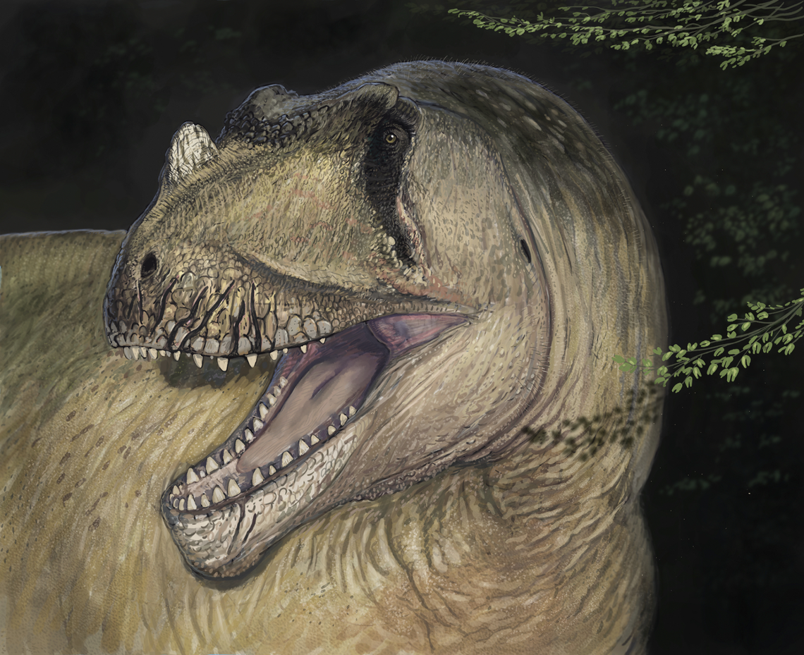 The 32-foot-long Cretaceous predator had a central horn and symmetrical teeth, researchers said.