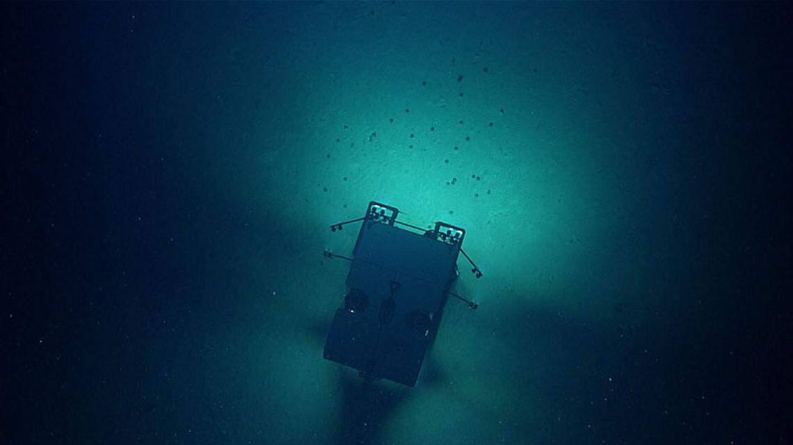 Researchers observed the congregation using a remotely operated vehicle named Deep Discoverer. The small dots in front of the vehicle are sea urchins.