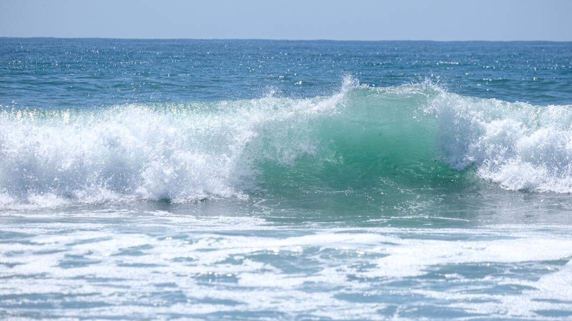 The whale shark was spotted in the Bay of Angels off the coast of Baja California, Mexico, an Instagram post showed.