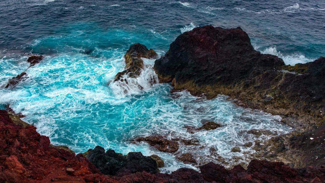 In the waters surrounding the remote Miyake Island off the coast of Japan, a new species of ocean crustacean was discovered.