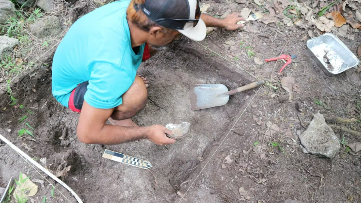 Archaeologists excavated more than 1,500 artifacts — including “mysterious shells” — from two islands in French Polynesia, according to The University of Sydney.