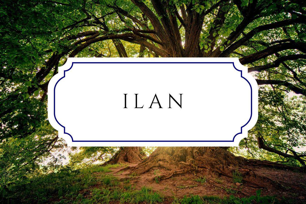 botanical baby names ilan