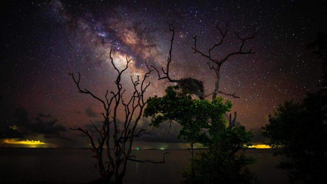 Everglades National Park after dark.
