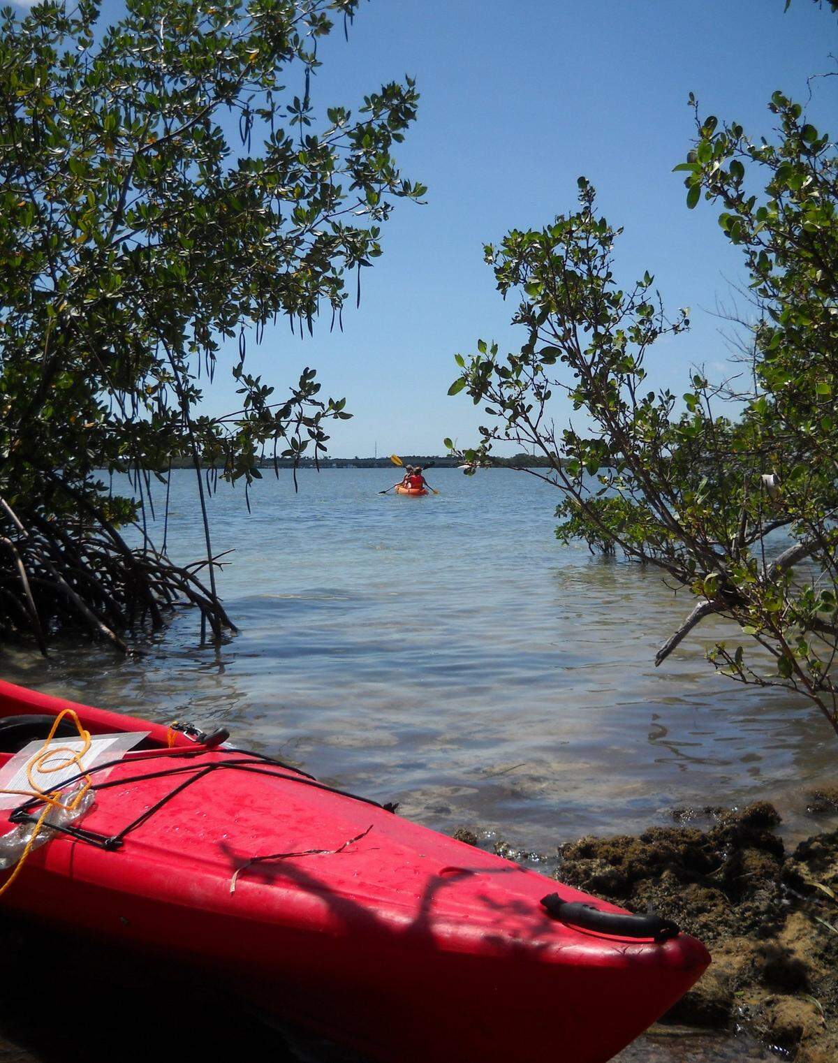Indian Key, a state park accessible only by boat, is an easy half-hour paddle over shallow water, off the Overseas Highway in Islamorada.