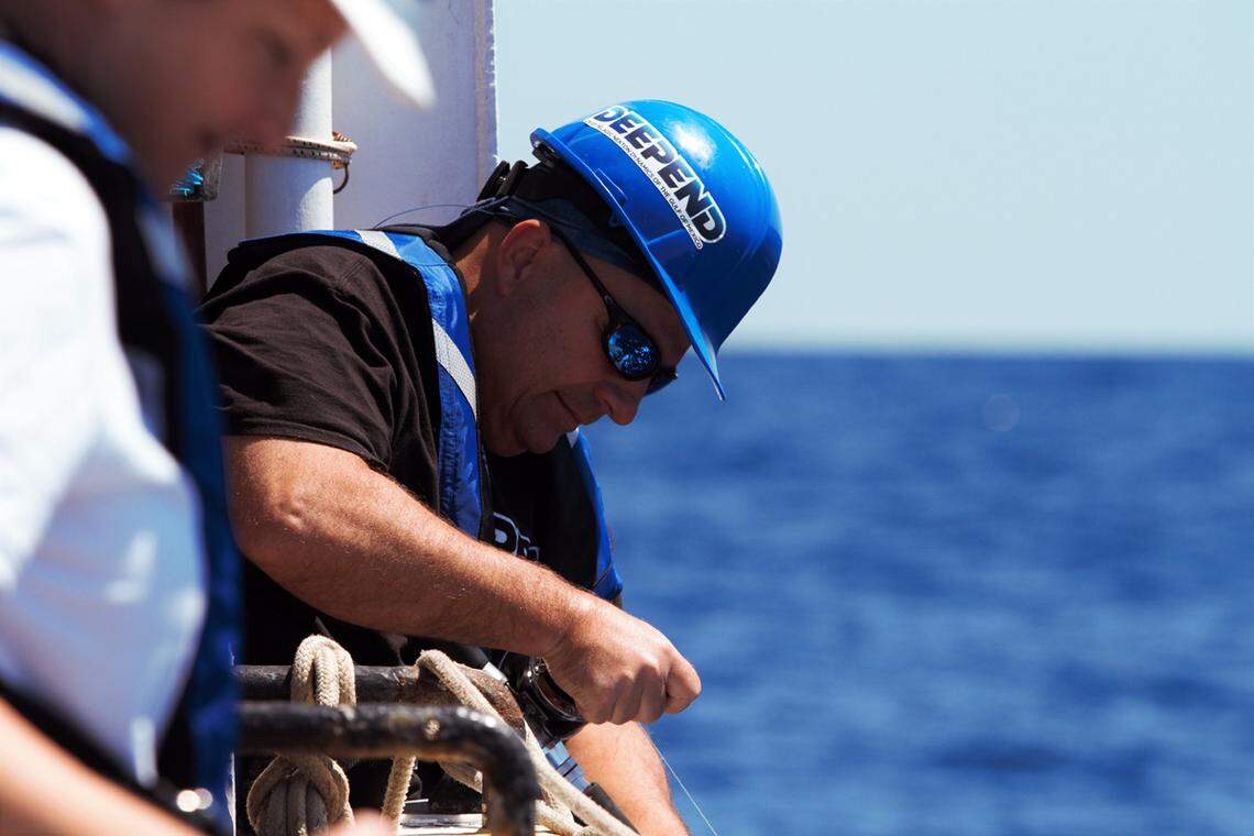 Tracey Sutton, a scientist who specializes in the Gulf’s deepwater ecosystems, said its environments are interconnected. Species that live on the surface dive deep to feed, and organisms that live at the bottom of the water column surface at night.