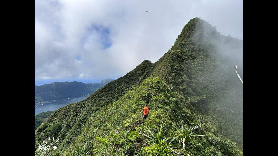 Researchers scoured mountain peaks on Tutuila, in American Samoa, to locate a rare and elusive creature.