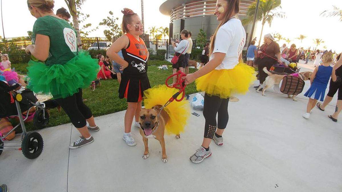 More tutus at Key West’s amphitheater at the Truman Waterfront Park.