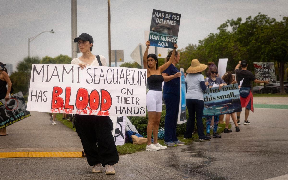Stephanie Lane, de la organización de derechos de los animales speciesism.wtf, junto a otras personas durante una manifestación organizada por SoFlo Animal Rights Activism dos días después de la muerte de Lolita frente al Miami Seaquarium, el domingo 20 de agosto de 2023, en el Viaducto Rickenbacker antes de Key Biscayne. Los manifestantes esperaban evitar que la gente visitara el Seaquarium.