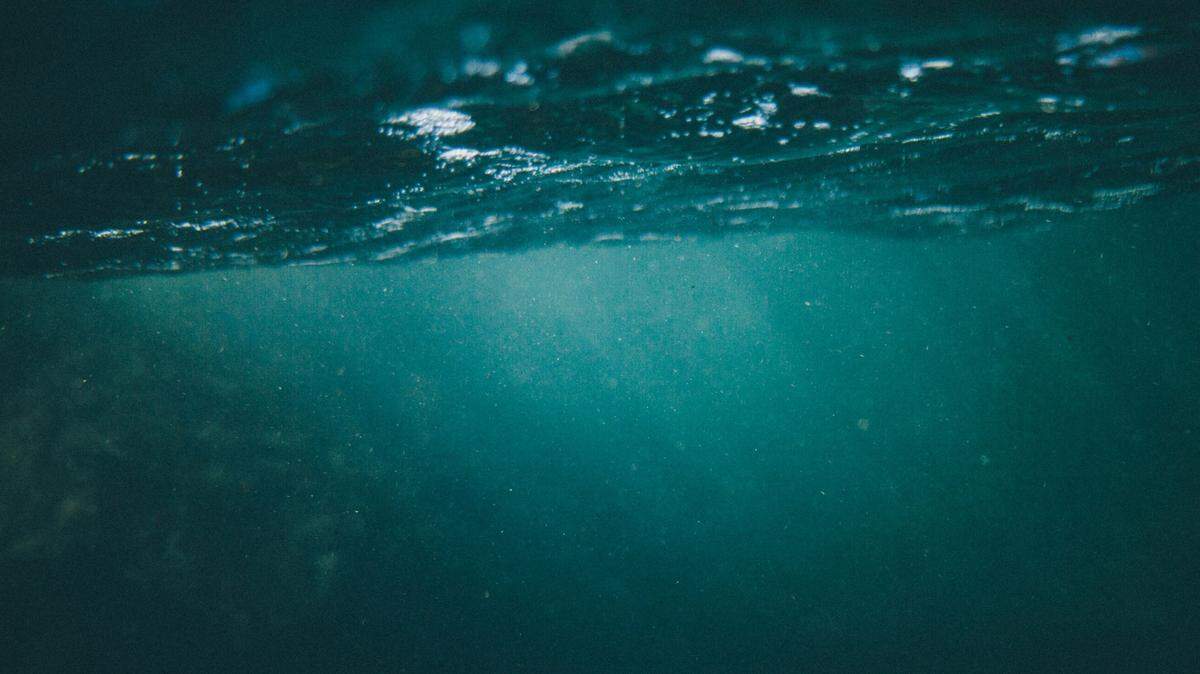 Scientists discovered a new deep-sea species while exploring off the coast of Japan, according to a new study.