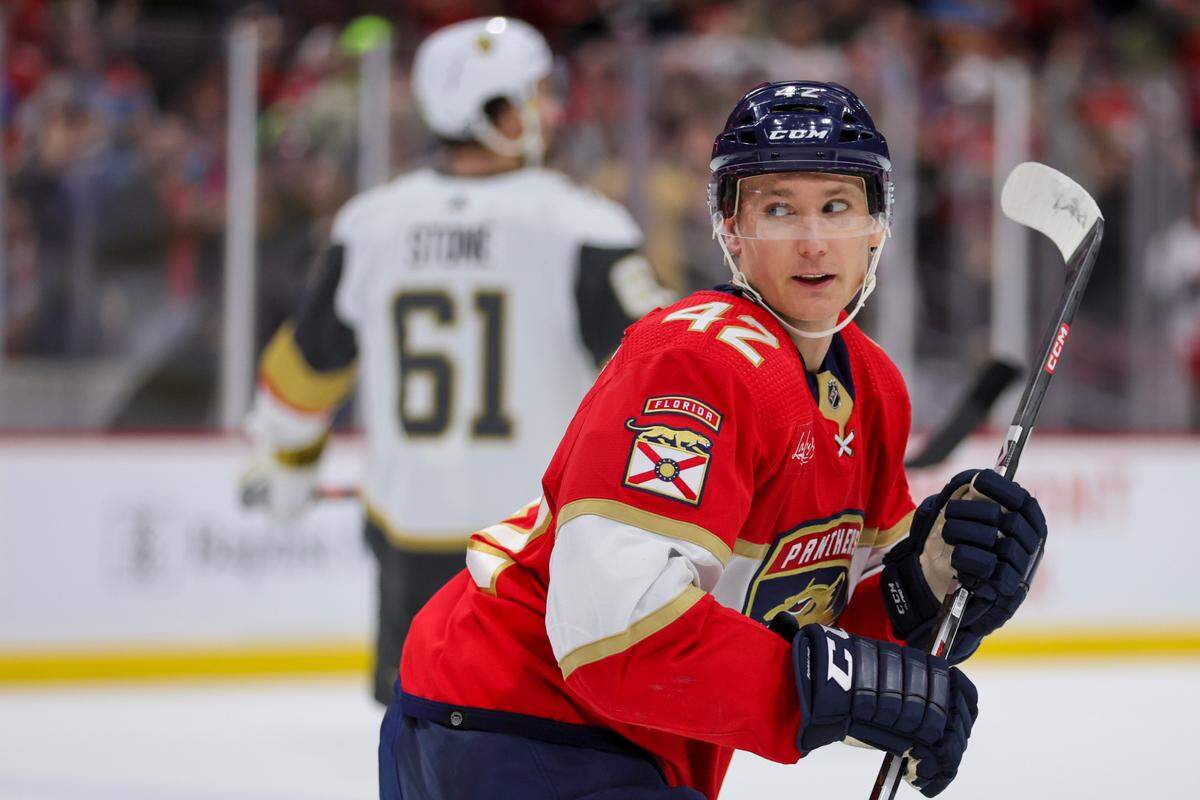 Dec 23, 2023; Sunrise, Florida, USA; Florida Panthers defenseman Gustav Forsling (42) looks on after scoring against the Vegas Golden Knights during the second period at Amerant Bank Arena.