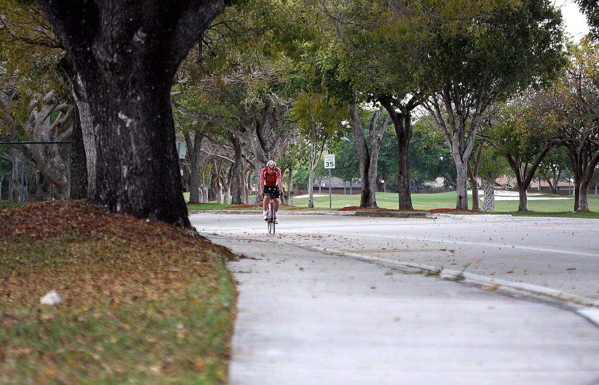 The chances that you get hit by a car at the Micc are lower. But Miami drivers love a challenge.