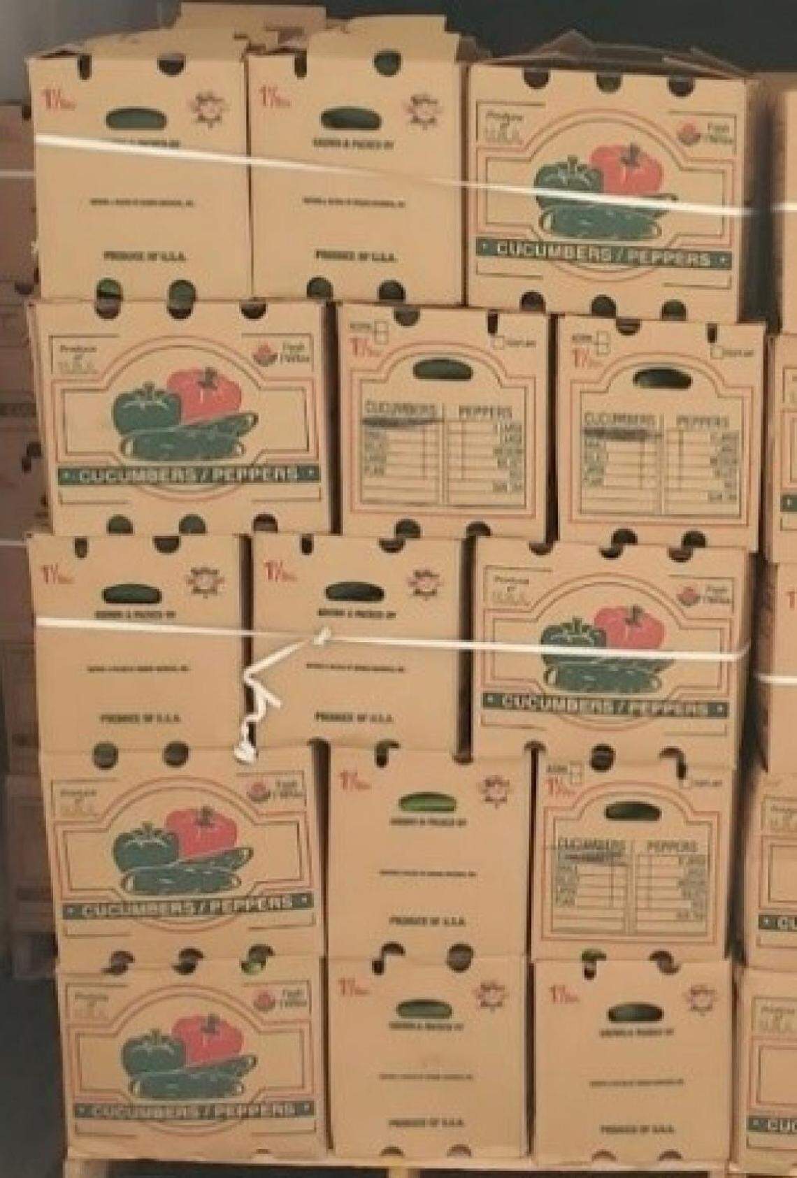Boxes of Fresh Start Produce Sales cucumbers