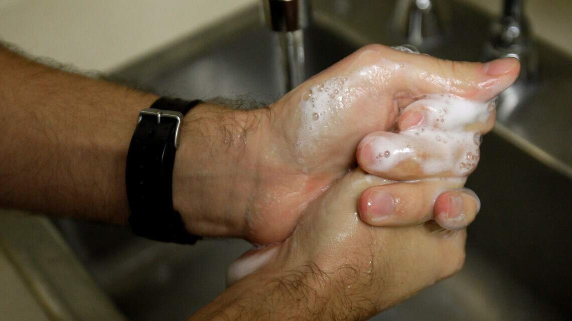 Gastroenteritis vuelve a aumentar en EEUU. Cinco cosas que hay que saber sobre los norovirus