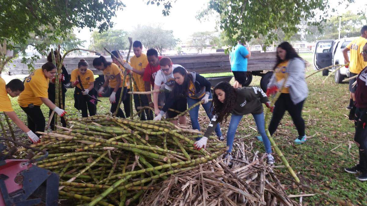 The Miami-Dade 4-H gives city kids a chance to learn about agriculture and raising farm animals, among other things.