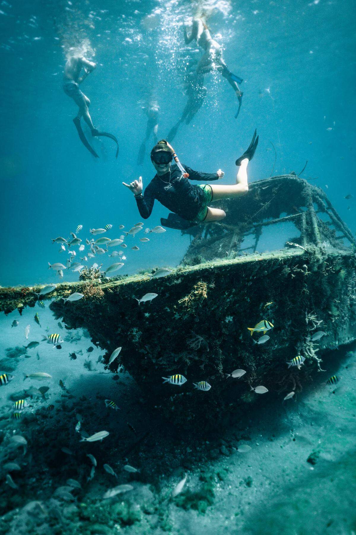You’ll see abundant sea life on the Phil Foster snorkel trail.