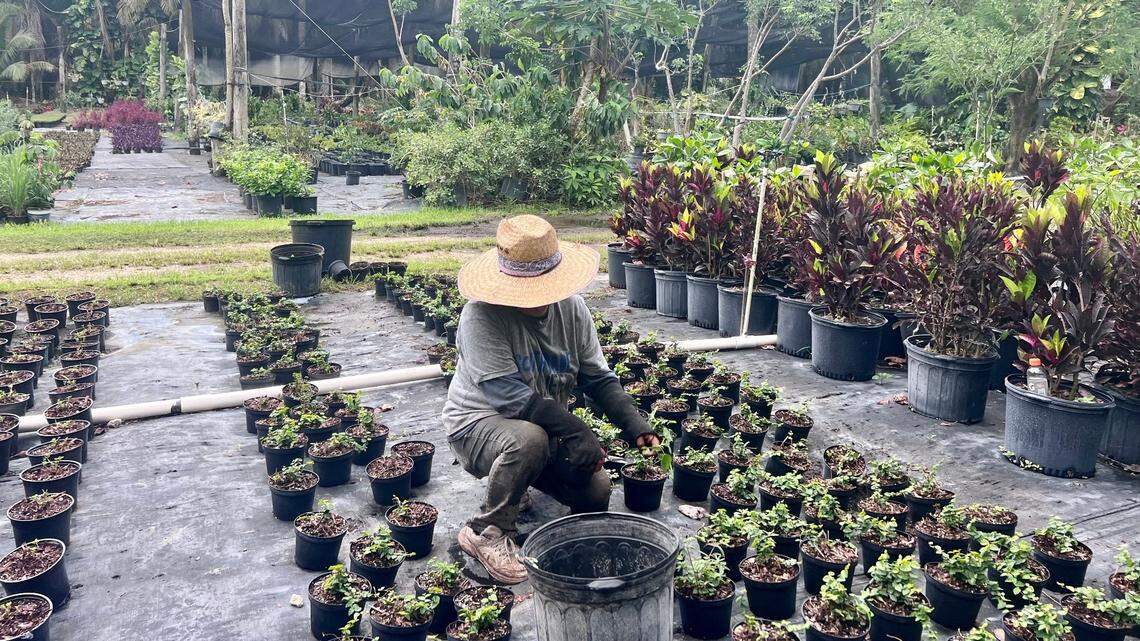 DeSantis wants to keep migrant workers out, but businesses say Florida needs them