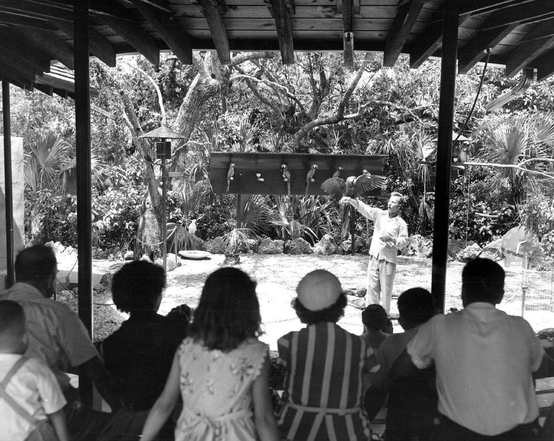 Hourly shows of trained birds were a feature at Parrot Jungle in Pinecrest.