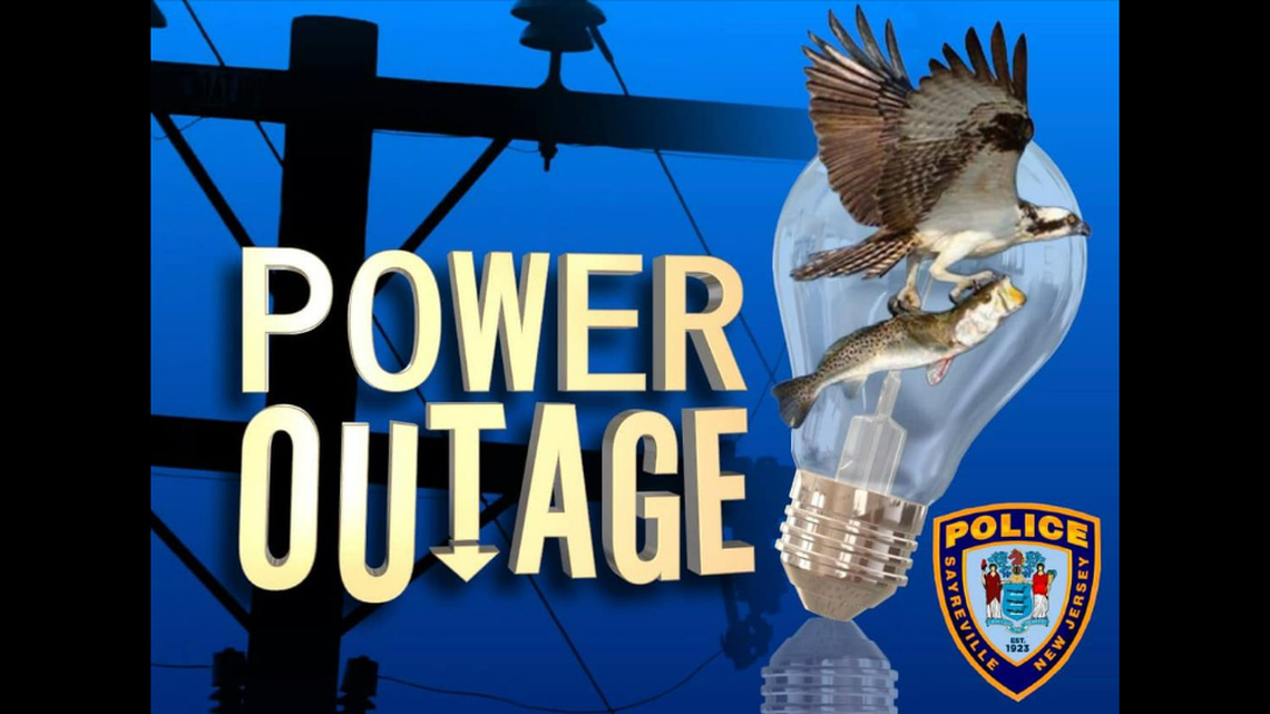 If a bird was carrying a fish that it dropped on a transformer, it might look something like this.