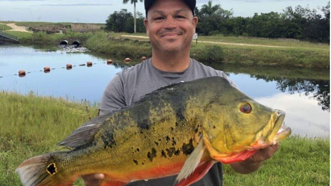 Now that’s a big fish. A Hialeah angler broke a state record for ‘lightning fast’ catch