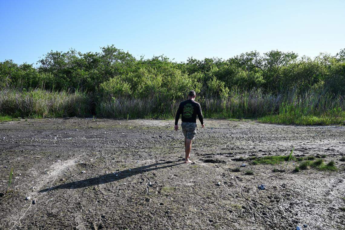 Marshall Jones, owner of Mack’s Fish Camp, walks through  drought -stricken wetland plants at Everglades National Park, in Pembroke Pines, Florida, May 16,. 2025. The South Florida Water Management District (SFWMD) issued a Water Shortage Warning for Miami-Dade and Monroe counties on Friday, Feb. 6, 2026, as well as Collier, Glades, Highlands and Lee counties amid continuing dry conditions and increasing water supply concerns.