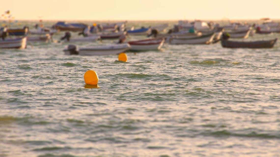 In the waters of the Gulf of Cádiz in Spain, a small crab crawls through the sand.