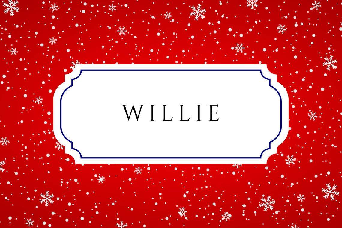 christmas baby names willie