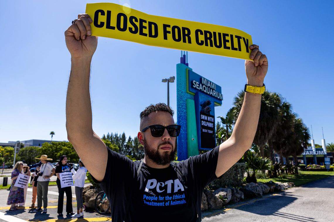 Animal rights activist Carlos Rodriguez, 38, holds a sign that reads ‘CLOSED FOR CRUELTY’ and ‘CLOSE ALL MARINE ABUSEMENT PARKS’ outside Miami Seaquarium on Sunday, Oct. 12, 2025, on Virginia Key in Miami, Fla. 