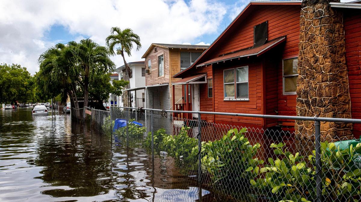 Homes were surrounded by knee-high floodwaters after heavy rains last June in the Little Havana neighborhood of Miami. Many homes in older areas like this are vulnerable to flooding and new elevated structures nearby can potentially raise the flooding risks.