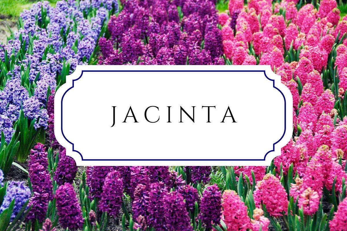 botanical baby names jacinta
